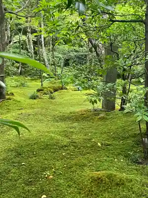 祇王寺(京都府)