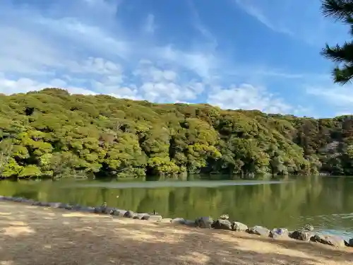 桜ヶ池池宮神社の{uncategorized: "未分類", other: "その他", undefined: "問題あり", building: "その他建物", grave: "お墓", sacred_gate: "鳥居", guardian: "狛犬", statue: "像", buddha: "仏像", history: "歴史", nature: "自然", garden: "庭園", animal: "動物", pagoda: "塔", temizu: "手水舎", mountain_gate: "山門・神門", sanctuary: "本殿・本堂", subordinate: "末社・摂社", art: "芸術", scenery: "景色", jizo: "地蔵", ema: "絵馬", goshuin: "御朱印", omikuji: "おみくじ", items: "授与品その他", amulet: "お守り", goshuincho: "御朱印帳", eats: "食事", festival: "お祭り", votive_dance: "神楽", shichigosan: "七五三参", wedding: "結婚式", experience: "体験その他", initially: "初詣", around: "周辺", anti_infection: "感染症対策"}
