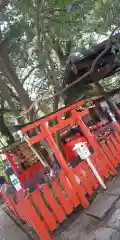 賀茂御祖神社（下鴨神社）(京都府)