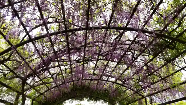 葛井寺の{uncategorized: "未分類", other: "その他", undefined: "問題あり", building: "その他建物", grave: "お墓", sacred_gate: "鳥居", guardian: "狛犬", statue: "像", buddha: "仏像", history: "歴史", nature: "自然", garden: "庭園", animal: "動物", pagoda: "塔", temizu: "手水舎", mountain_gate: "山門・神門", sanctuary: "本殿・本堂", subordinate: "末社・摂社", art: "芸術", scenery: "景色", jizo: "地蔵", ema: "絵馬", goshuin: "御朱印", omikuji: "おみくじ", items: "授与品その他", amulet: "お守り", goshuincho: "御朱印帳", eats: "食事", festival: "お祭り", votive_dance: "神楽", shichigosan: "七五三参", wedding: "結婚式", experience: "体験その他", initially: "初詣", around: "周辺", anti_infection: "感染症対策"}