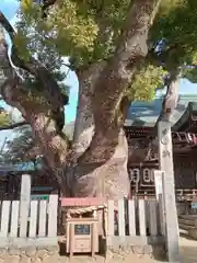 石切劔箭神社(大阪府)