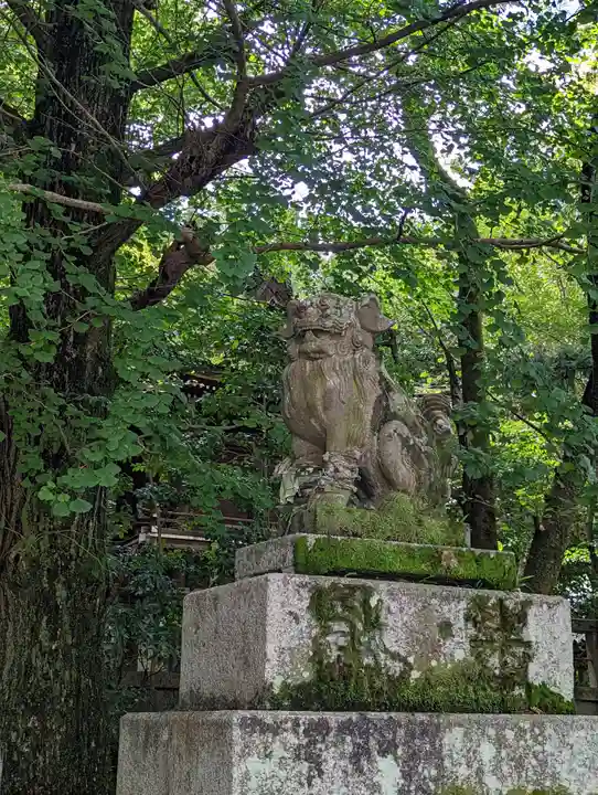 高良神社(京都府)