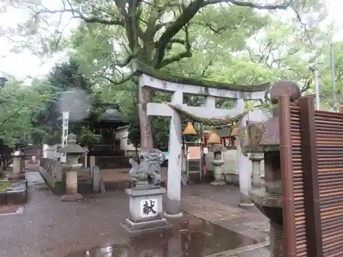 名古屋東照宮の鳥居