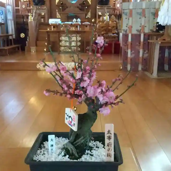 彌彦神社 (伊夜日子神社)の本殿・本堂