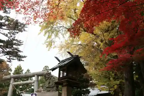 三春大神宮の鳥居