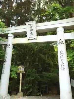 武雄神社(佐賀県)