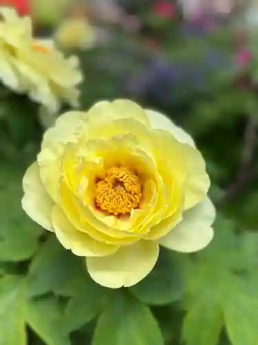 薬師院(兵庫県)