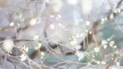 御霊神社(大阪府)