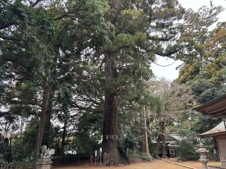 側高神社(千葉県)