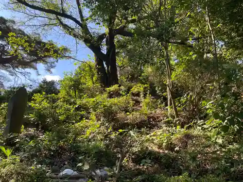 武州白子熊野神社(埼玉県)