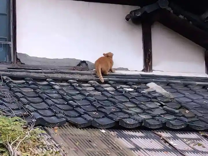 常昌寺(滋賀県)