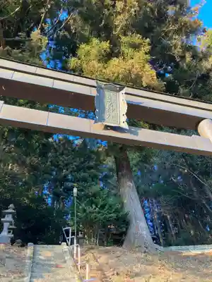 松島星宮神社の鳥居