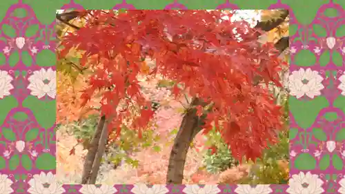 宝徳寺(群馬県)