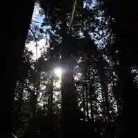 高野山金剛峯寺奥の院の自然