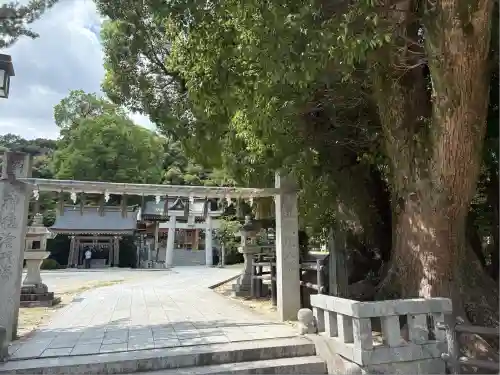 春日神社(福岡県)