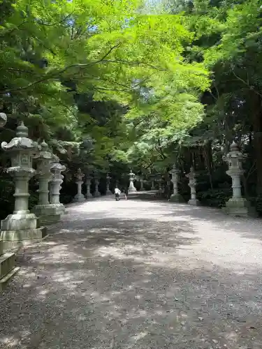 香取神宮の{uncategorized: "未分類", other: "その他", undefined: "問題あり", building: "その他建物", grave: "お墓", sacred_gate: "鳥居", guardian: "狛犬", statue: "像", buddha: "仏像", history: "歴史", nature: "自然", garden: "庭園", animal: "動物", pagoda: "塔", temizu: "手水舎", mountain_gate: "山門・神門", sanctuary: "本殿・本堂", subordinate: "末社・摂社", art: "芸術", scenery: "景色", jizo: "地蔵", ema: "絵馬", goshuin: "御朱印", omikuji: "おみくじ", items: "授与品その他", amulet: "お守り", goshuincho: "御朱印帳", eats: "食事", festival: "お祭り", votive_dance: "神楽", shichigosan: "七五三参", wedding: "結婚式", experience: "体験その他", initially: "初詣", around: "周辺", anti_infection: "感染症対策"}