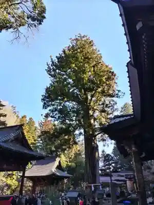 北口本宮冨士浅間神社(山梨県)