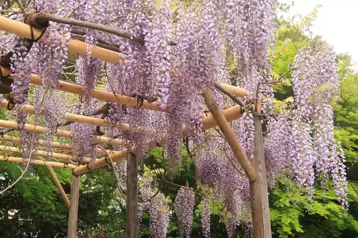神炊館神社 ⁂奥州須賀川総鎮守⁂の庭園