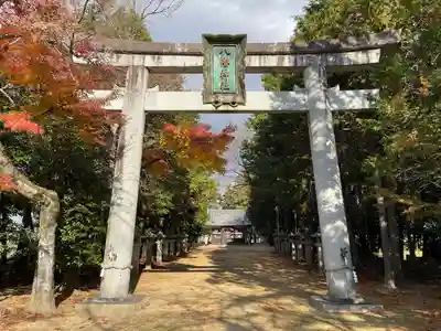 八幡神社(滋賀県)