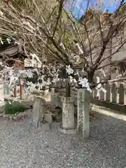 水尾神社の建物その他