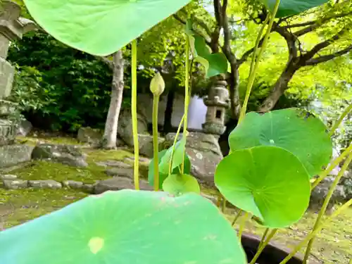 伊勢の国 四天王寺(三重県)