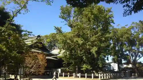 葛飾八幡宮の庭園