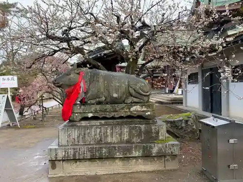 北野天満宮の狛犬