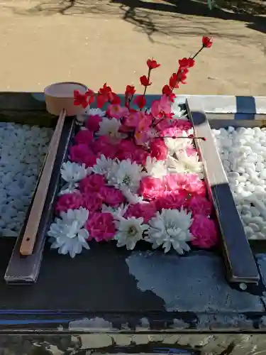 根岸八幡神社の{uncategorized: "未分類", other: "その他", undefined: "問題あり", building: "その他建物", grave: "お墓", sacred_gate: "鳥居", guardian: "狛犬", statue: "像", buddha: "仏像", history: "歴史", nature: "自然", garden: "庭園", animal: "動物", pagoda: "塔", temizu: "手水舎", mountain_gate: "山門・神門", sanctuary: "本殿・本堂", subordinate: "末社・摂社", art: "芸術", scenery: "景色", jizo: "地蔵", ema: "絵馬", goshuin: "御朱印", omikuji: "おみくじ", items: "授与品その他", amulet: "お守り", goshuincho: "御朱印帳", eats: "食事", festival: "お祭り", votive_dance: "神楽", shichigosan: "七五三参", wedding: "結婚式", experience: "体験その他", initially: "初詣", around: "周辺", anti_infection: "感染症対策"}