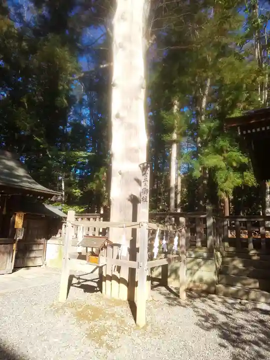 諏訪大社下社秋宮の自然