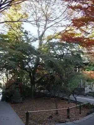 妙本寺のその他建物