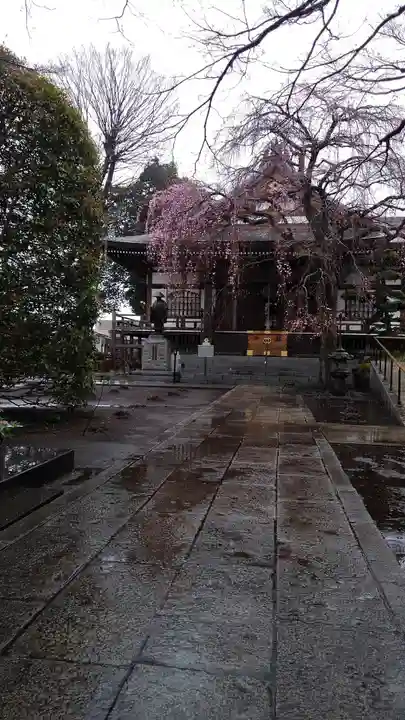 金蔵院の本殿・本堂