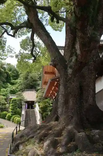 栖光院(愛知県)