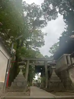 菅生神社(愛知県)