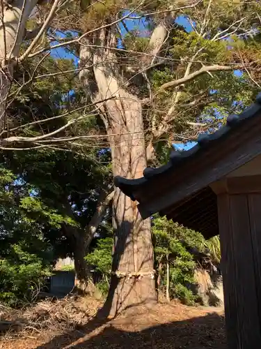 稲荷神社(千葉県)