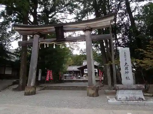 土佐神社の鳥居