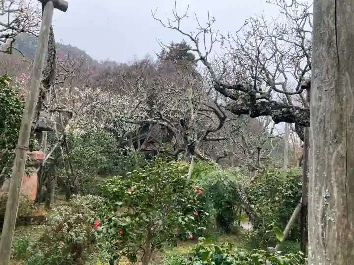 瑞泉寺の{uncategorized: "未分類", other: "その他", undefined: "問題あり", building: "その他建物", grave: "お墓", sacred_gate: "鳥居", guardian: "狛犬", statue: "像", buddha: "仏像", history: "歴史", nature: "自然", garden: "庭園", animal: "動物", pagoda: "塔", temizu: "手水舎", mountain_gate: "山門・神門", sanctuary: "本殿・本堂", subordinate: "末社・摂社", art: "芸術", scenery: "景色", jizo: "地蔵", ema: "絵馬", goshuin: "御朱印", omikuji: "おみくじ", items: "授与品その他", amulet: "お守り", goshuincho: "御朱印帳", eats: "食事", festival: "お祭り", votive_dance: "神楽", shichigosan: "七五三参", wedding: "結婚式", experience: "体験その他", initially: "初詣", around: "周辺", anti_infection: "感染症対策"}