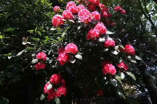 阿邪訶根神社の庭園