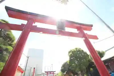 東京羽田 穴守稲荷神社の鳥居