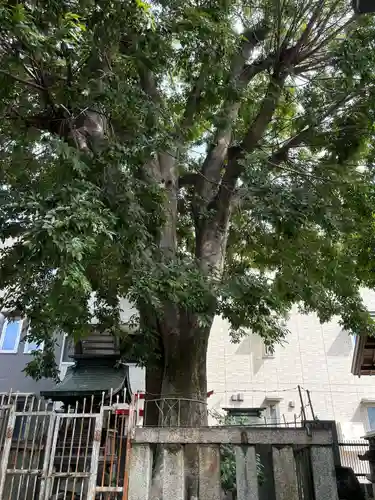 天王坊稲荷神社(岐阜県)