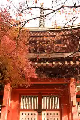 神護寺(京都府)