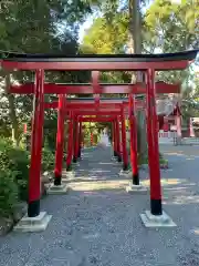 亀ケ池八幡宮の鳥居