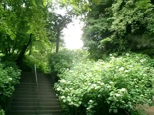 明月院の庭園