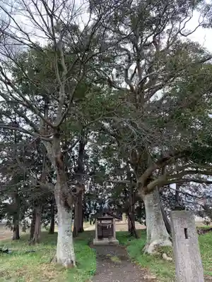 八幡神社の自然