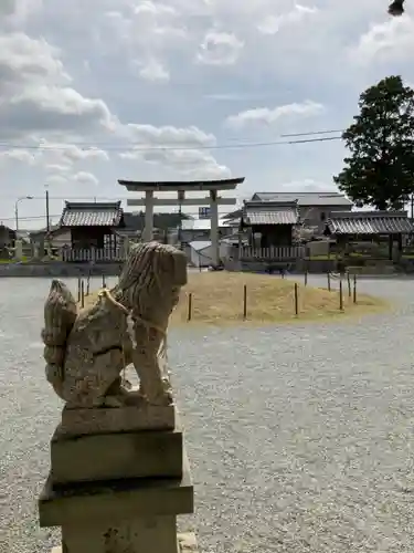 住吉神社の狛犬