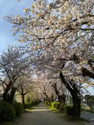 伊多波刀神社(愛知県)