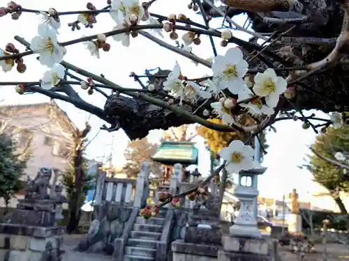 菊地神社(岐阜県)