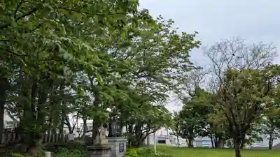 留萌神社の自然