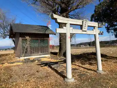 日枝神社の鳥居
