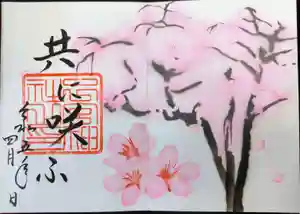 ご朱印 令和5年4月「共に咲ふ」
今月は「共に咲(わら)ふ」と題し、桜の絵を描いております。
和銅五年(七一二)成立の現存最古の書物『古事記』に「八百万神(やおよろずのかみ)共に咲(わら)ひき」と出てくる所から採りました。
「咲」は「笑」の古字で、かつては「笑ふ」を「咲ふ」と書いたのです。後にその「咲」を「花が開く」意味で使うようになったのは日本独自の用法です。私達の先祖は「笑う」ことと「開花」を重ねて考える感性を持っていたのです。今回の元になった『古事記』の文は天岩戸神話の箇所に出てきます。天照大御神が岩戸に籠られたことで天上も地上も暗黒に覆われてしまいました。その大御神が外に出てこられる直接のきっかけが神々の「大笑い」でした。これにより世界に光が戻ったのでした。「笑う門には福来る」とも申します。花々が咲き開くように皆で笑って明るい世にいたしましょう。