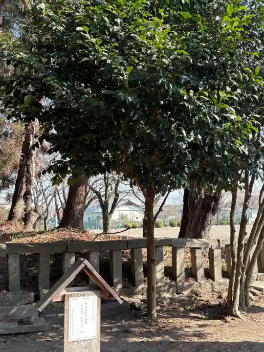 中野谷神社の{uncategorized: "未分類", other: "その他", undefined: "問題あり", building: "その他建物", grave: "お墓", sacred_gate: "鳥居", guardian: "狛犬", statue: "像", buddha: "仏像", history: "歴史", nature: "自然", garden: "庭園", animal: "動物", pagoda: "塔", temizu: "手水舎", mountain_gate: "山門・神門", sanctuary: "本殿・本堂", subordinate: "末社・摂社", art: "芸術", scenery: "景色", jizo: "地蔵", ema: "絵馬", goshuin: "御朱印", omikuji: "おみくじ", items: "授与品その他", amulet: "お守り", goshuincho: "御朱印帳", eats: "食事", festival: "お祭り", votive_dance: "神楽", shichigosan: "七五三参", wedding: "結婚式", experience: "体験その他", initially: "初詣", around: "周辺", anti_infection: "感染症対策"}